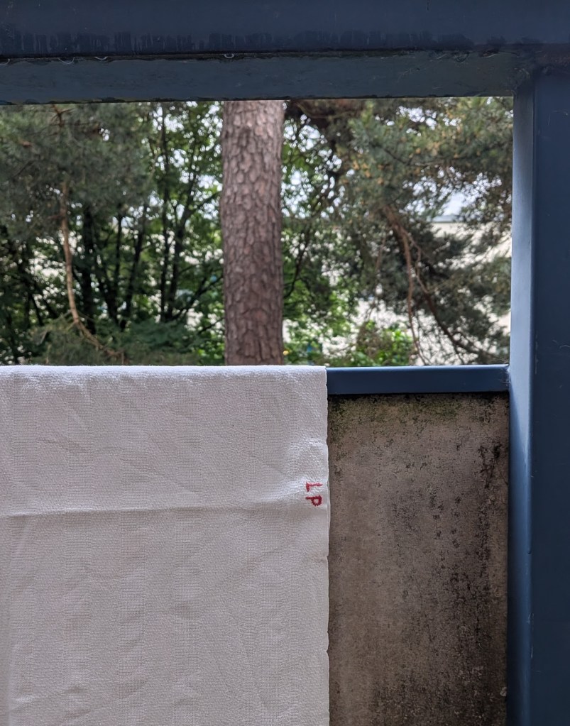 Nimikirjaimin kirjailtu keittiöpyyhe.